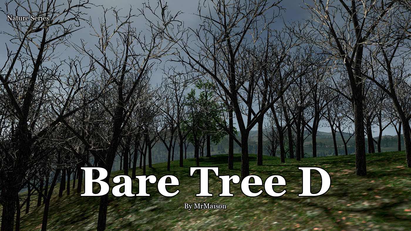 Bare Tree D Promo.jpg